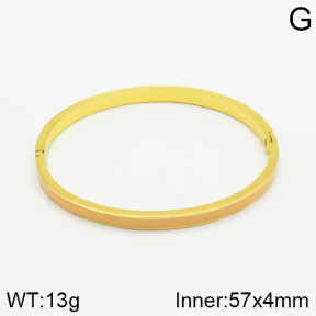 Stainless Steel Bangle  2BA300086vbnb-478