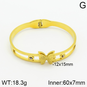 Stainless Steel Bangle  2BA400767vbnb-478