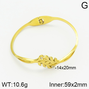 Stainless Steel Bangle  2BA400773vbnb-478