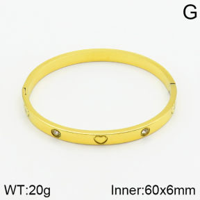 Stainless Steel Bangle  2BA400779vbnb-478