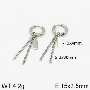 Stainless Steel Earrings  2E2001492vbnb-256