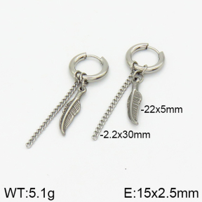 Stainless Steel Earrings  2E2001496vbnb-256