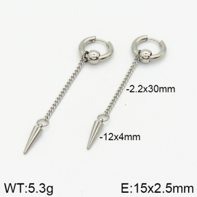 Stainless Steel Earrings  2E2001497vbnb-256