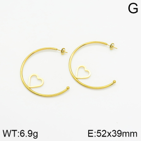 Stainless Steel Earrings  2E2001520vail-319