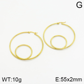 Stainless Steel Earrings  2E2001537vail-319