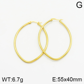 Stainless Steel Earrings  2E2001546aaho-319