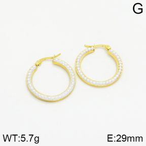 Stainless Steel Earrings  2E3001088aakl-319