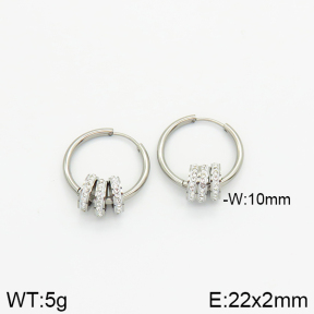 Stainless Steel Earrings  2E4001955bbml-434