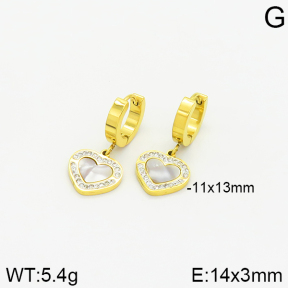 Stainless Steel Earrings  2E4001957bbml-434
