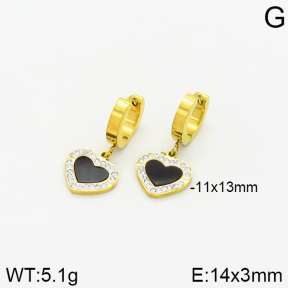 Stainless Steel Earrings  2E4001958bbml-434