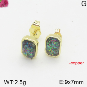 Fashion Copper Earrings  F5E401360bhia-J128