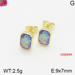 Fashion Copper Earrings  F5E401361bhia-J128