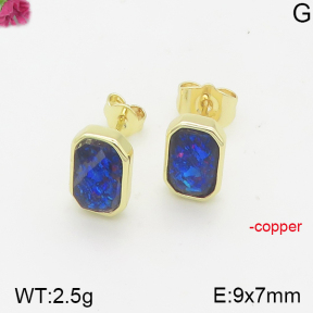 Fashion Copper Earrings  F5E401362bhia-J128