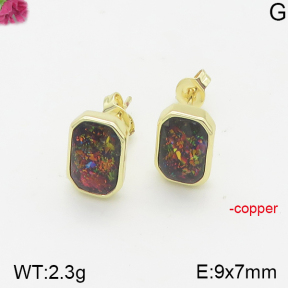 Fashion Copper Earrings  F5E401363bhia-J128