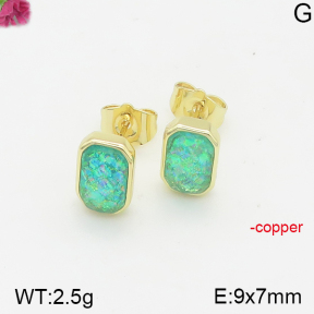 Fashion Copper Earrings  F5E401365bhia-J128