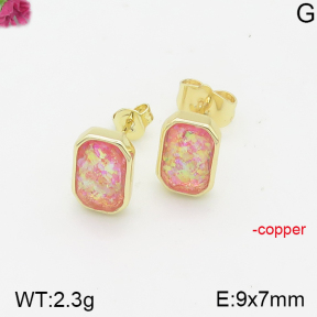 Fashion Copper Earrings  F5E401366bhia-J128