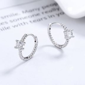 925 Silver Earrings  WT:2.06g  13.8*16.6mm  JE3648biho-Y06