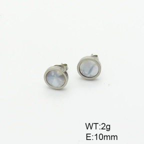 Stainless Steel Earrings  6E3002492aaji-698