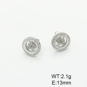 Stainless Steel Earrings  6E4003708avja-698
