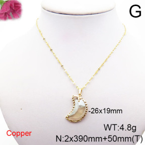 Fashion Copper Necklace  F6N405339vbll-J73