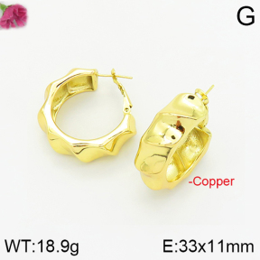 Fashion Copper Earrings  F2E200215bhva-J40