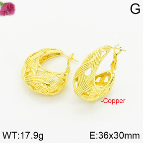 Fashion Copper Earrings  F2E200218bhva-J40