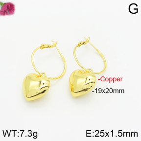 Fashion Copper Earrings  F2E200233bhia-J40