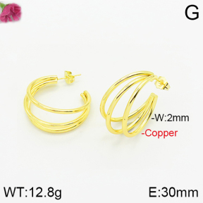 Fashion Copper Earrings  F2E200234bbov-J40