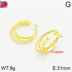 Fashion Copper Earrings  F2E200235bbov-J40