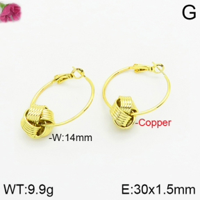 Fashion Copper Earrings  F2E200241vbpb-J40