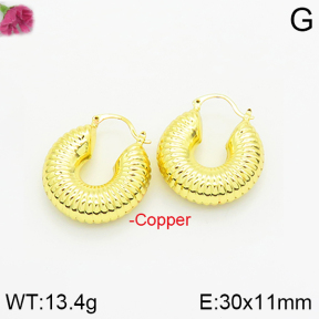 Fashion Copper Earrings  F2E200244bhva-J40