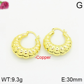 Fashion Copper Earrings  F2E200245vbpb-J40
