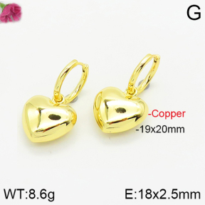 Fashion Copper Earrings  F2E200249bhia-J40