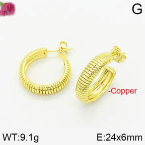 Fashion Copper Earrings  F2E200252bbov-J40