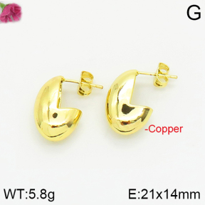 Fashion Copper Earrings  F2E200264vbnb-J40