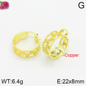 Fashion Copper Earrings  F2E200268vbnb-J40