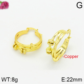 Fashion Copper Earrings  F2E200275vbnb-J40