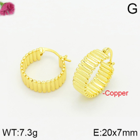 Fashion Copper Earrings  F2E200276vbnb-J40