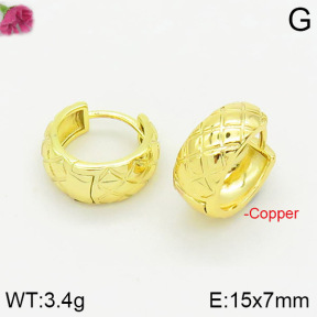 Fashion Copper Earrings  F2E200279vbmb-J40