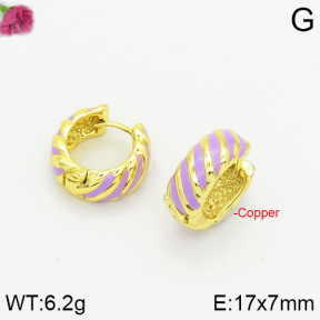 Fashion Copper Earrings  F2E300304bbov-J40
