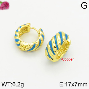 Fashion Copper Earrings  F2E300306bbov-J40