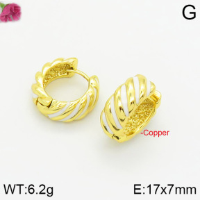 Fashion Copper Earrings  F2E300308bbov-J40
