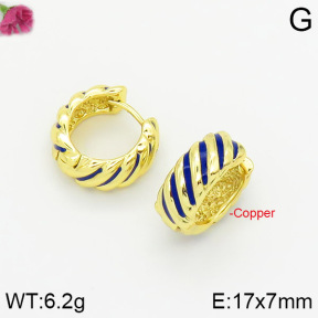Fashion Copper Earrings  F2E300312bbov-J40