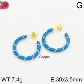 Fashion Copper Earrings  F2E300315bhva-J40