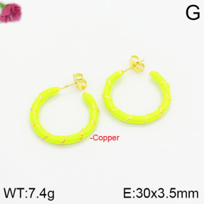 Fashion Copper Earrings  F2E300316bhva-J40