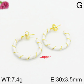 Fashion Copper Earrings  F2E300319bhva-J40