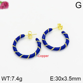 Fashion Copper Earrings  F2E300321bhva-J40