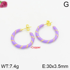 Fashion Copper Earrings  F2E300322bhva-J40