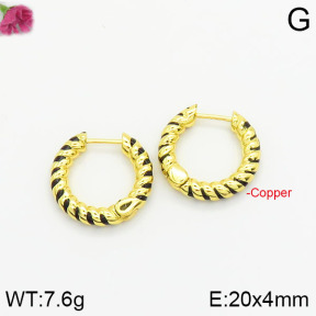 Fashion Copper Earrings  F2E300336bbov-J40