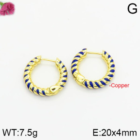 Fashion Copper Earrings  F2E300337bbov-J40